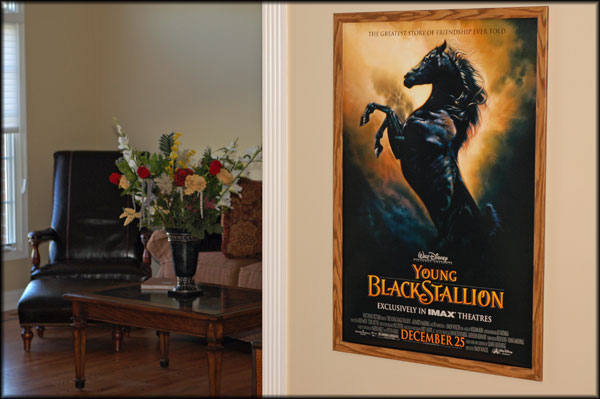 Movie Poster Frames in Hallway